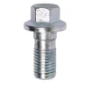 Banjo Bolt, M10 x 1.25 x 22mm - Bag of 5