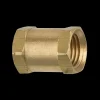 Brass Coupling, Female (1/4-18 NPT)