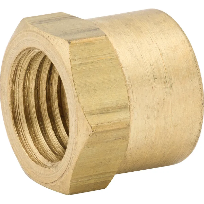 End Cap, Brass, 1/4 NPTF, Bag of 1