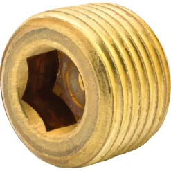 Hex Plug, Br, 5/16" (3/8 NPTM), Bag of 1