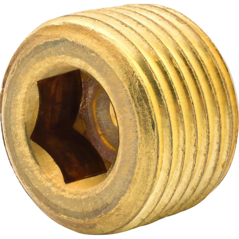 Hex Plug, Br, 5/16" (3/8 NPTM), Bag of 1