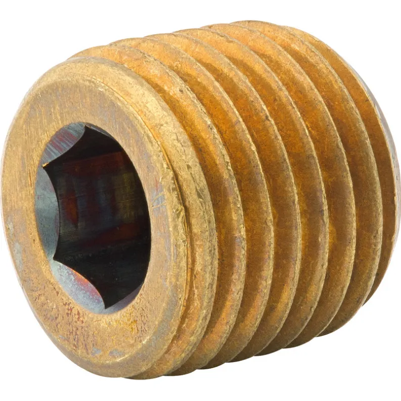 Hex Plug, Br, 1/4H (1/4 NPTM), Bag of 1