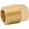 1/2" NPTM Brass Square Head Plug - Bag of 1