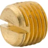 Slotted Plug, 1/4 NPTM, Bag of 1