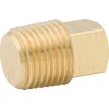 Sq Head Plug, Brass, 1/8 NPTM, Bag of 1